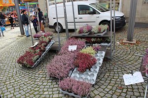 Herbstmarkt in Nordhausen 