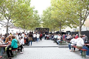Zwiebelmarkt in Artern