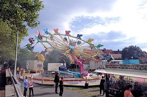 Zwiebelmarkt in Artern