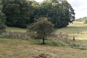 122. Artenschutzeinsatz des BUND-Kreisverbandes