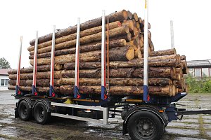 Holzlasterkontrolle in Niedersachswerfen