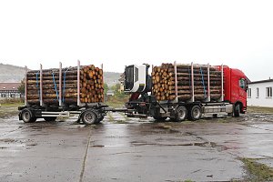 Holzlasterkontrolle in Niedersachswerfen