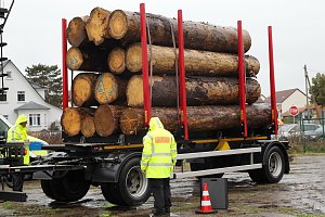 Holzlasterkontrolle in Niedersachswerfen