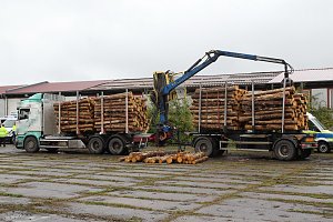 Holzlasterkontrolle in Niedersachswerfen