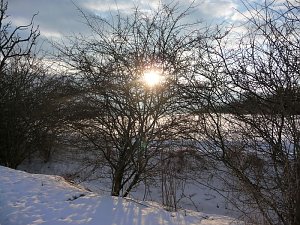 Winterbilder