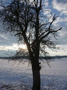 Winterbilder
