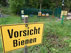 Das Gr&uuml;ne Klassenzimmer in W&uuml;lfingerode