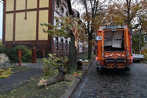 Umgeknickte Eiche in der Neanderstra&szlig;e