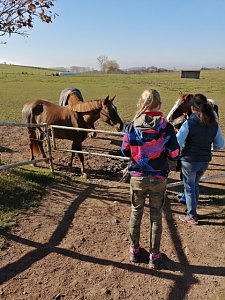 Ferienspiele in en Herbstferien