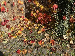 Herbstimpressionen