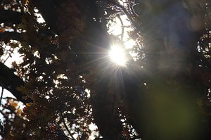 Herbstimpressionen