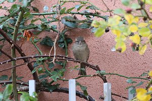 Herbstimpressionen