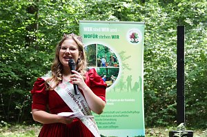 Blutbuchenk&ouml;nigin Jenny I aus Sondershausen