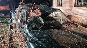 Morscher Baum begrub zwei Fahrzeuge unter sich