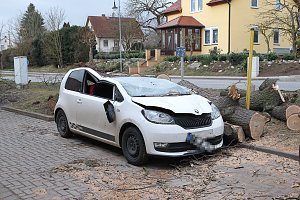 Morscher Baum begrub zwei Fahrzeuge unter sich