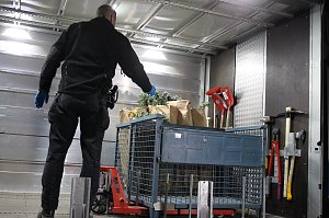 Bei einem Gro&szlig;einsatz in Sondershausen konnte die Polizei eine Cannabis-Plantage ausheben