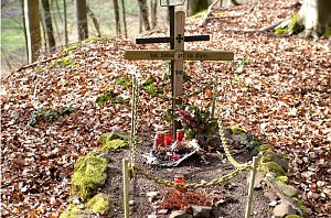 Peter Blei unterwegs bei Neustadt