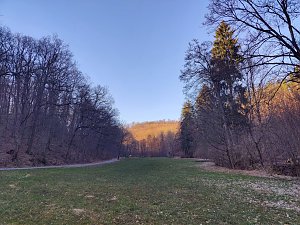 Peter Blei unterwegs bei Neustadt