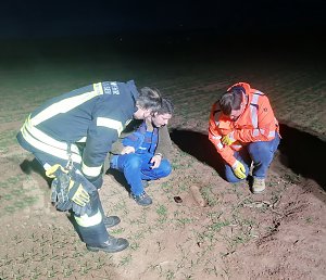 Munitionsfund bei Herreden