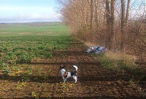 M&uuml;llfund auf dem Weg nach Bielen