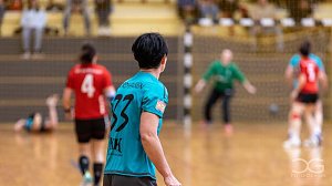 nnz-Ergbnisdienst: Handball - die Spiele vom Wochenende