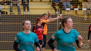 nnz-Ergbnisdienst: Handball - die Spiele vom Wochenende