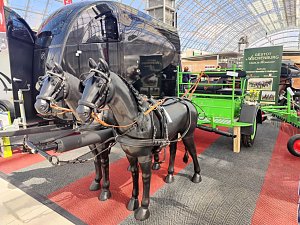 Peter Blei unterwegs auf der "Partner Pferd" in Leipzig