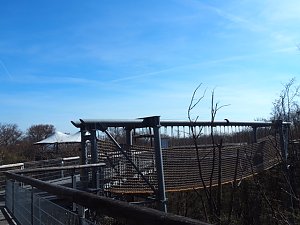 Auf dem Baumkronenpfad
