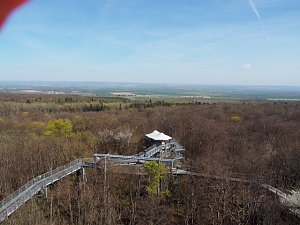Auf dem Baumkronenpfad