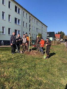 B&auml;ume pflanzen in Gro&szlig;wechsungen