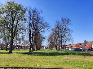 Einmal
