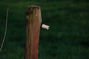 Abendspaziergang mit neuem Objektiv