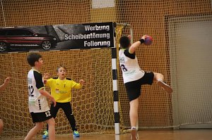 NSV Ergebnissdienst Handball