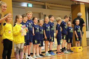 NSV Ergebnissdienst Handball