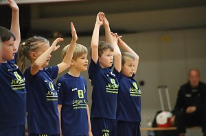 NSV Ergebnissdienst Handball
