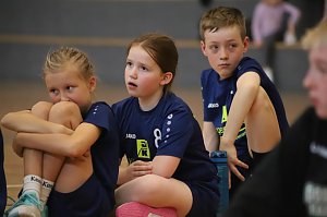 NSV Ergebnissdienst Handball