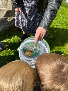 Schmetterlingsprojekt im Kindergarten