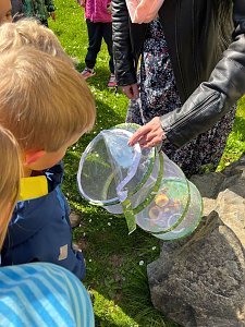 Schmetterlingsprojekt im Kindergarten