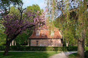 Sie brüten noch!