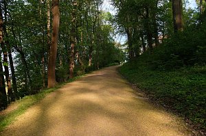 Sie brüten noch!