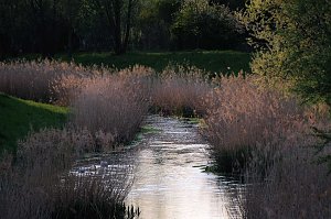 Sie brüten noch!