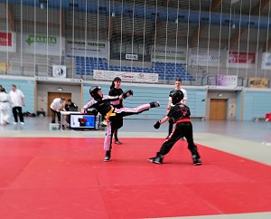 Landesmeisterschaft Wushu in Nordhausen