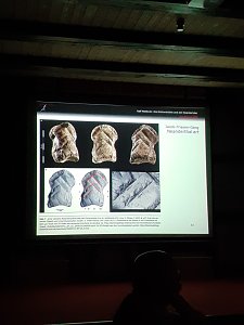 Wie lebten die Neanderthaler in der Einhornh&ouml;hle? - Rund 30 G&auml;ste lauschten den Ausf&uuml;hrungen von Dr. Nielbock