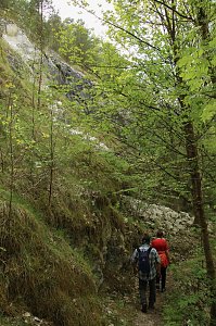 Auf dem Feuersalamanderpfad