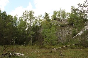 Auf dem Feuersalamanderpfad