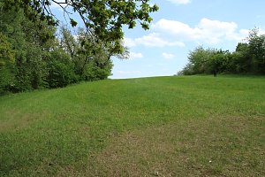 Auf dem Feuersalamanderpfad