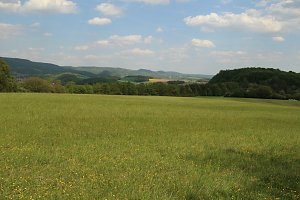 Auf dem Feuersalamanderpfad