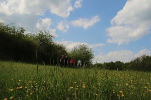 Auf dem Feuersalamanderpfad