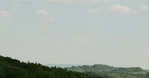 Auf dem Feuersalamanderpfad