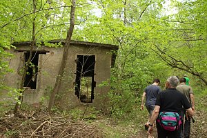 Auf dem Feuersalamanderpfad